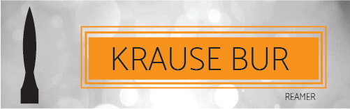 Krause bur
