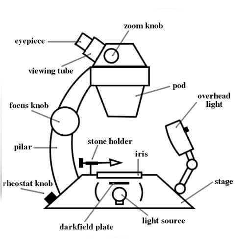 Zoom Stereo 10X-40X - Image 5