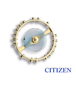Citizen Balance Complete Ref 721